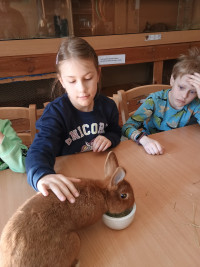 1 – 