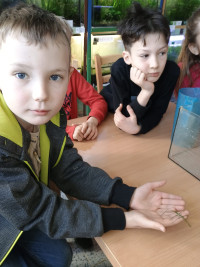8 – 